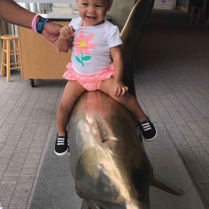 Meet your Posher, Lance